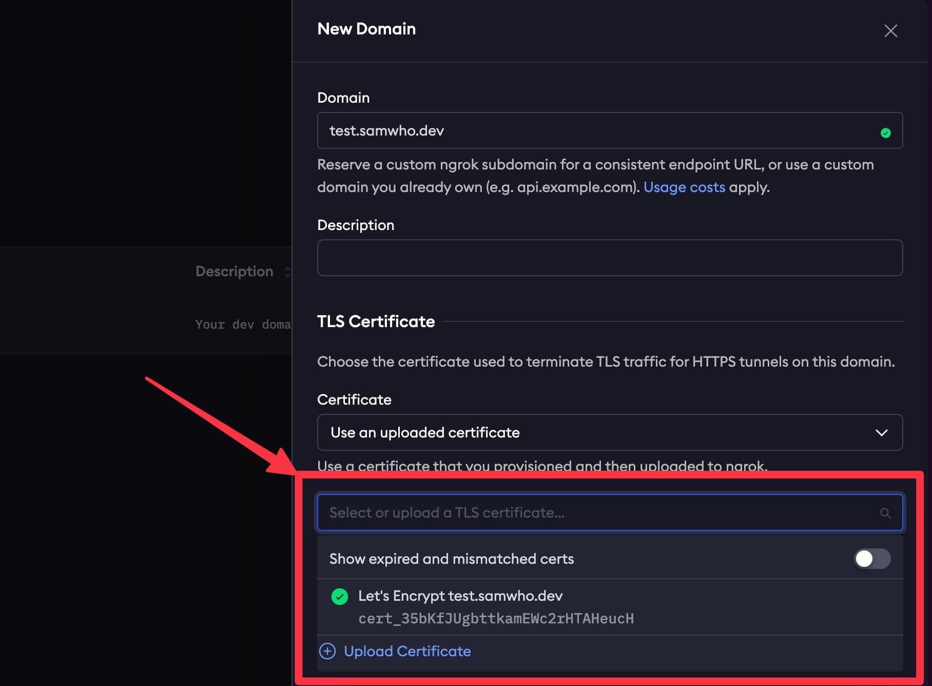 ngrok Certificate Selection