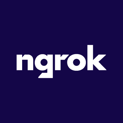 Avatar for Team ngrok